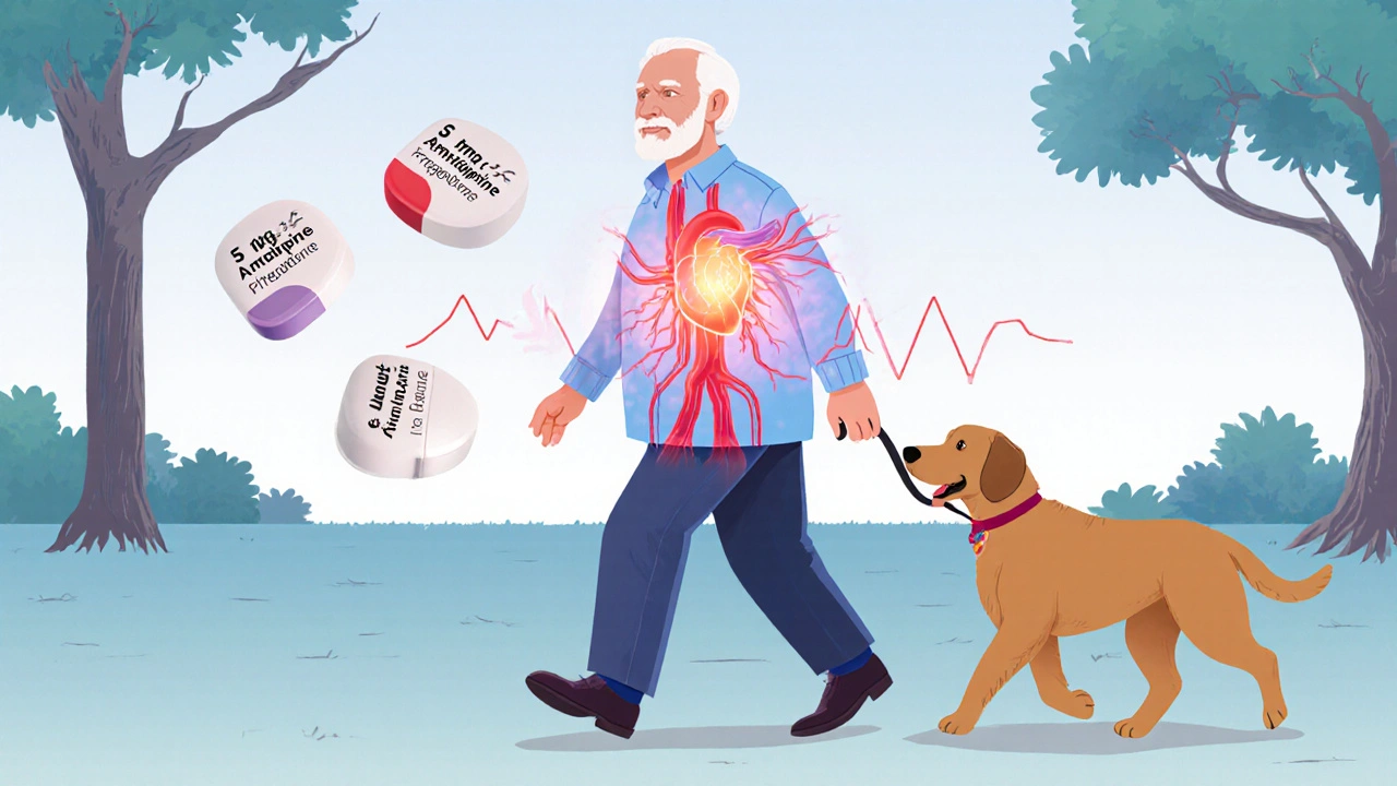 An older man walking his dog confidently, with a transparent view of his healthy heart and arteries.